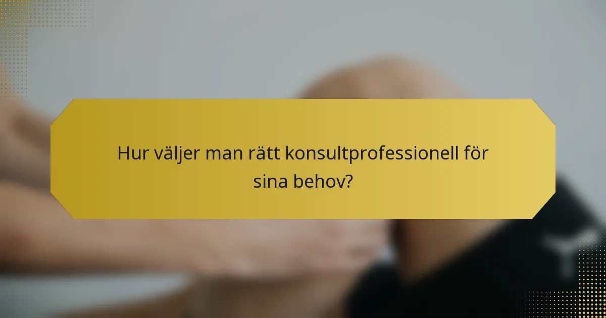 Hur väljer man rätt konsultprofessionell för sina behov?