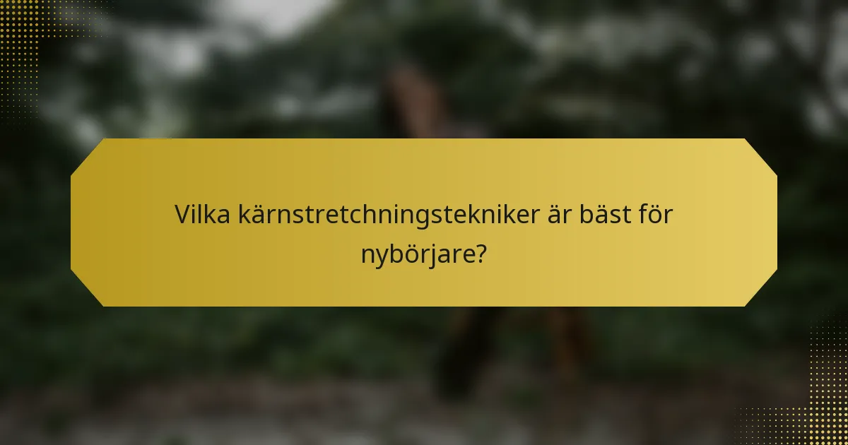 Vilka kärnstretchningstekniker är bäst för nybörjare?